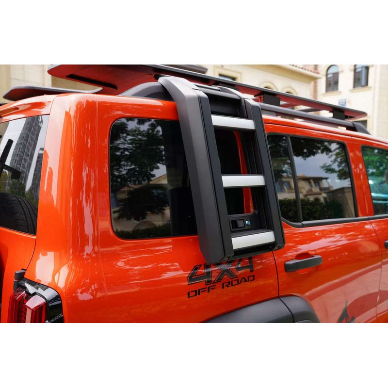 Defender Side Ladder