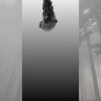 SAMEILI Black Ice Car Wax Perfume