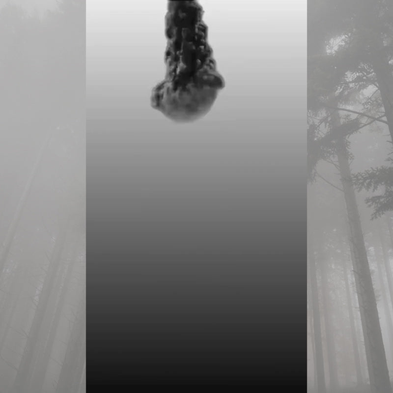 SAMEILI Black Ice Car Wax Perfume