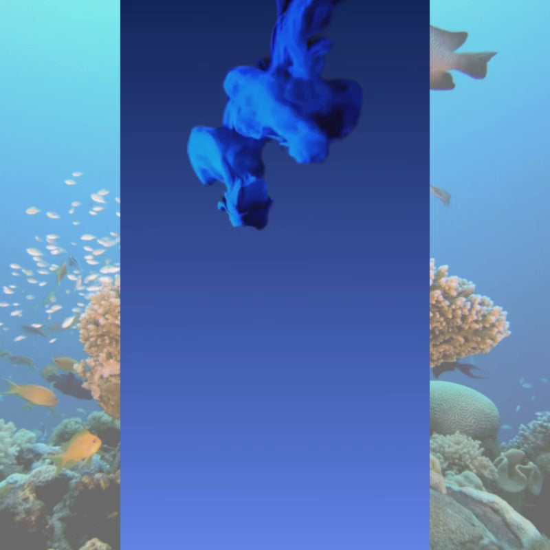 SAMEILI Blue Lagoon Car Wax Perfume