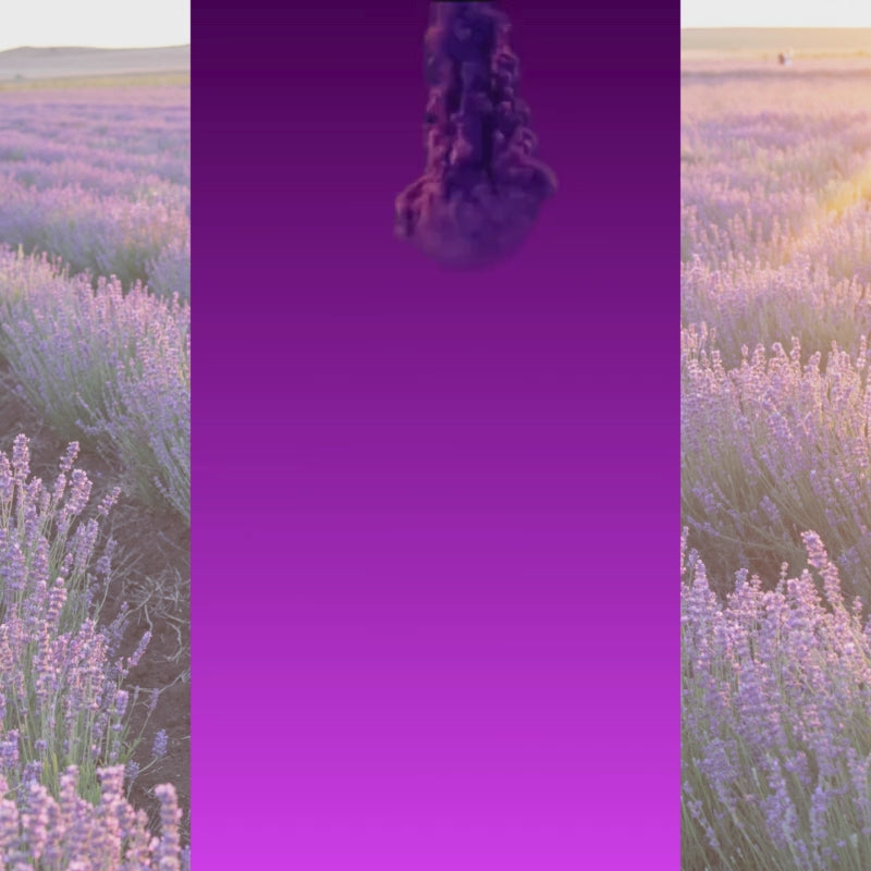 SAMEILI Lavender Car Wax Perfume